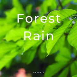 Forest Rain (Only Piano)