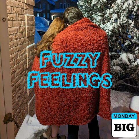 Fuzzy Feelings