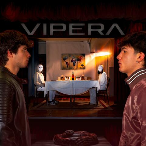 Vipera