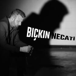 Bıçkın Necati