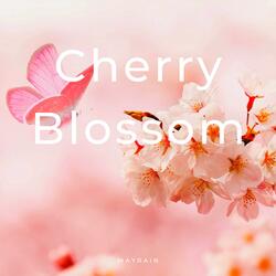 Cherry Blossom