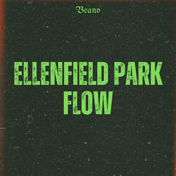 Ellenfield Park Flow