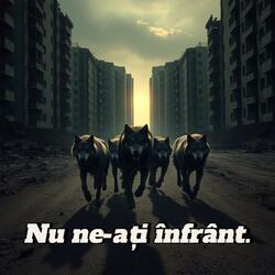 Nu ne-ati infrant