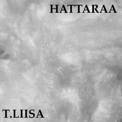 Hattaraa