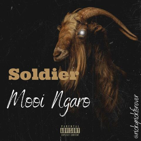 Soldier