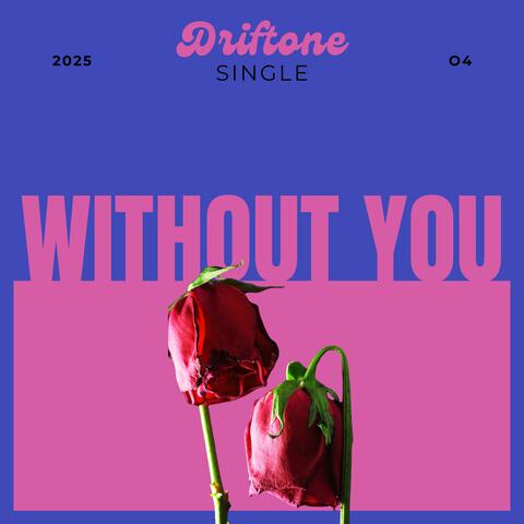 Without You (Radio Edit)