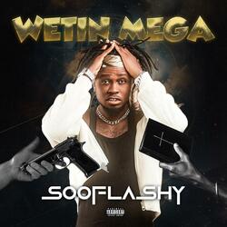 Wetin Mega