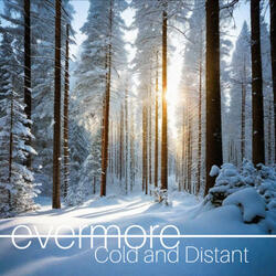 Cold and Distant (Different Together)
