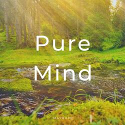 Pure Mind (No Nature Sounds)