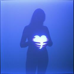 Trapped Within the Lies