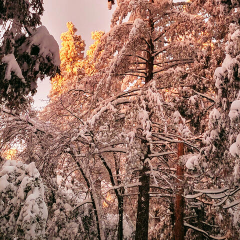 Winter Songs