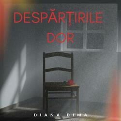 Despărțirile dor