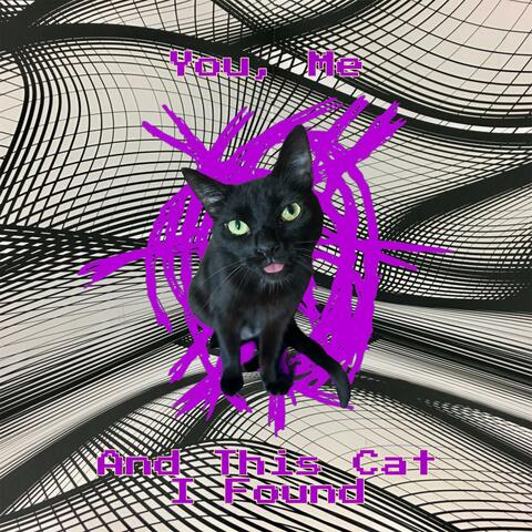 You, Me, And This Cat I Found