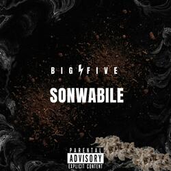 SONWABILE