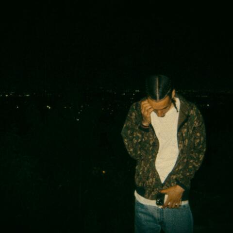 dollar signs