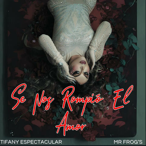 Se nos rompió el amor (feat. Tifany Espectacular) [remix]