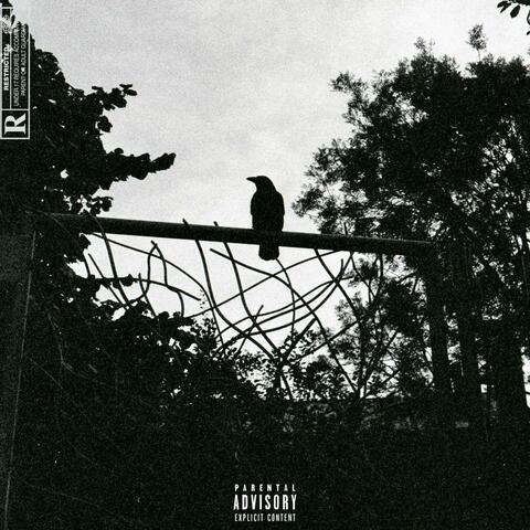 Slowed + Reverb