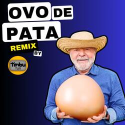 Ovo de Pata (Remix)