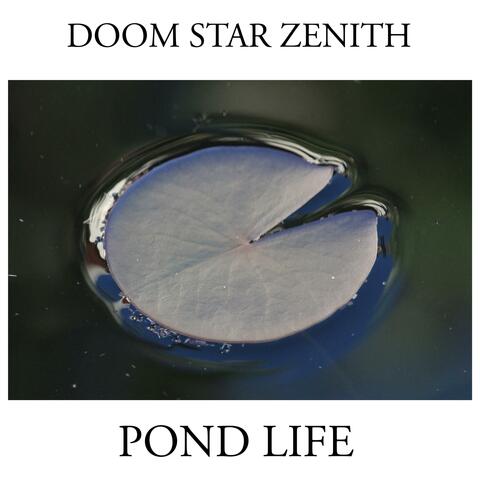 Pond Life