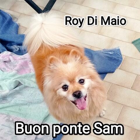 Buon ponte Sam