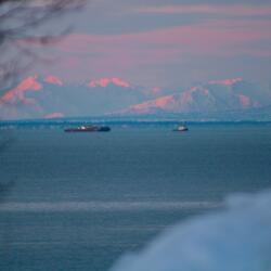 Recognition (Piano Version)