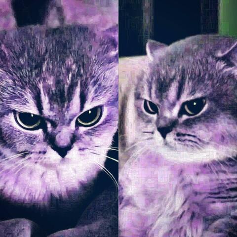 Za Miły (feat. spazma)