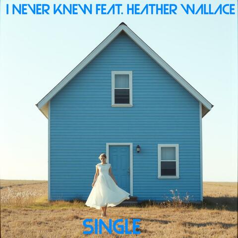 I Never Knew (feat. Heather Wallace)