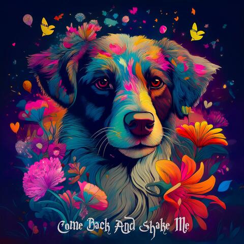 Come Back And Shake Me