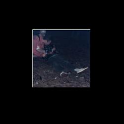 Predictable (Single)