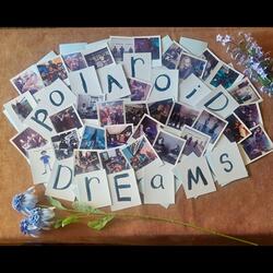 Polaroid Dreams