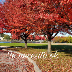 Te necesito ok