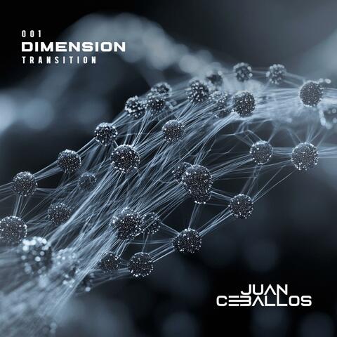 Dimension Transition