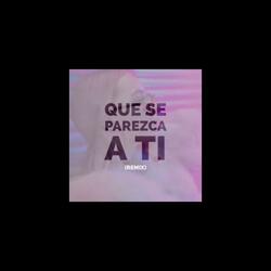 Que se parezca a ti (Special Version)