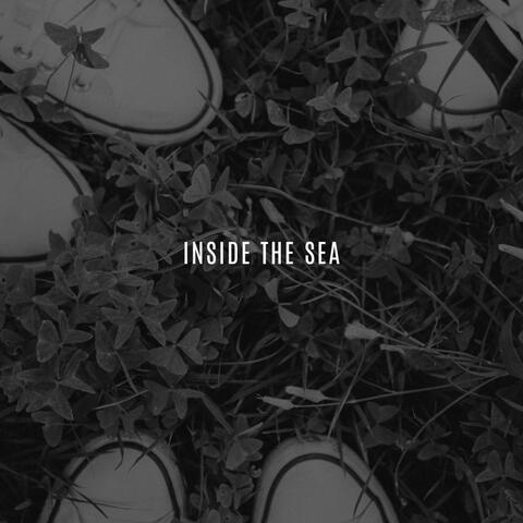 Inside the sea