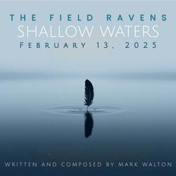 Shallow Waters