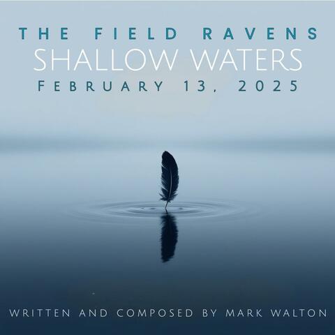 Shallow Waters