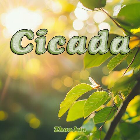 Cicada