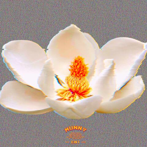 Still Magnolia (Radio Edit)