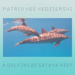 Patrik Kee a Delfíni ze Sataya Reef