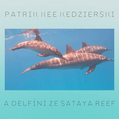 Patrik Kee a Delfíni ze Sataya Reef