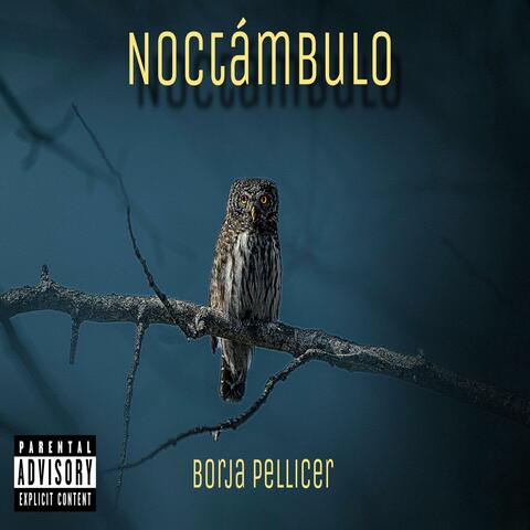 Noctámbulo