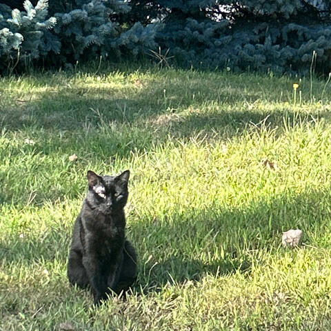 Lethal pussy!