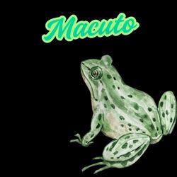 Macuto