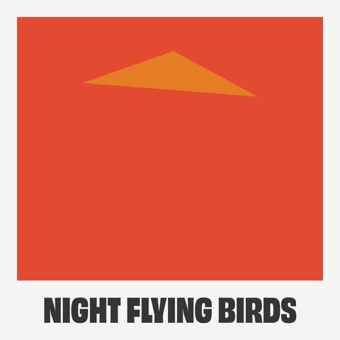 Night Flying Birds