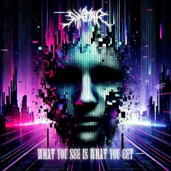 What You See Is What You Get