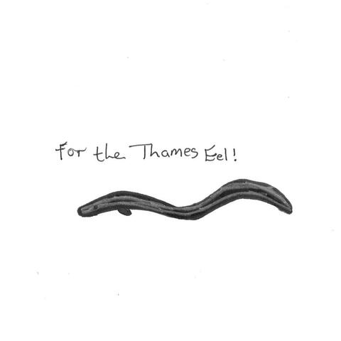 For the Thames Eel