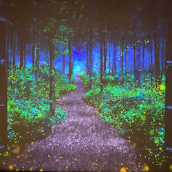 Wanderlust in the Universe