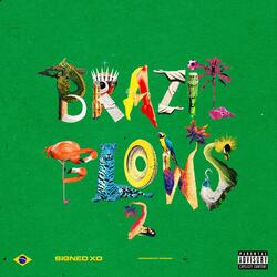 Brazil Flows 2