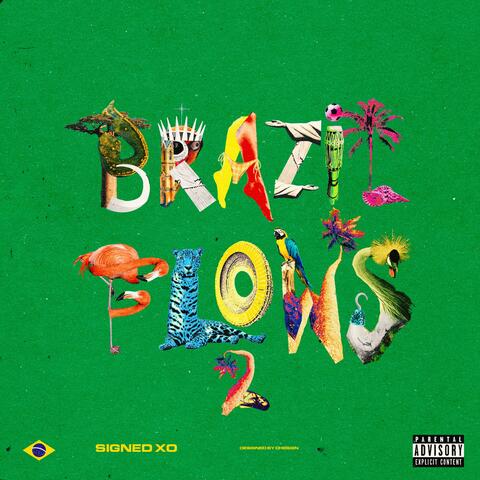Brazil Flows 2