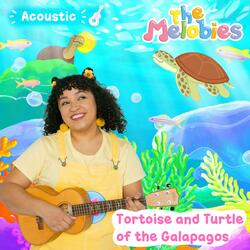 Tortoise and Turtle of the Galapagos (Melobies Acoustic Version)